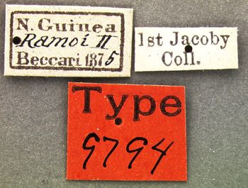 Media type: image; Entomology 9794   Aspect: labels